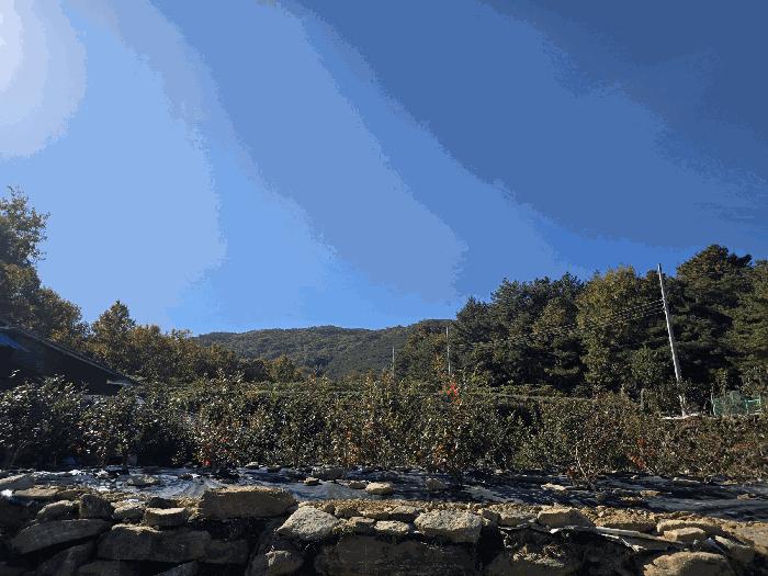 경상남도 산청군 신등면 양전리 산60 임야 경매 사진 4