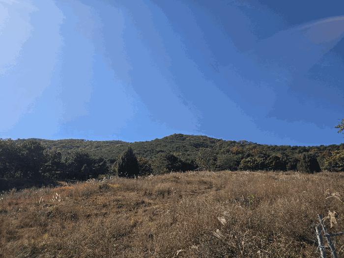 경상남도 산청군 신등면 양전리 산60 임야 경매 사진 5