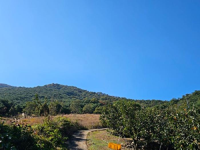 경상남도 산청군 신등면 양전리 산60 임야 경매 사진 6