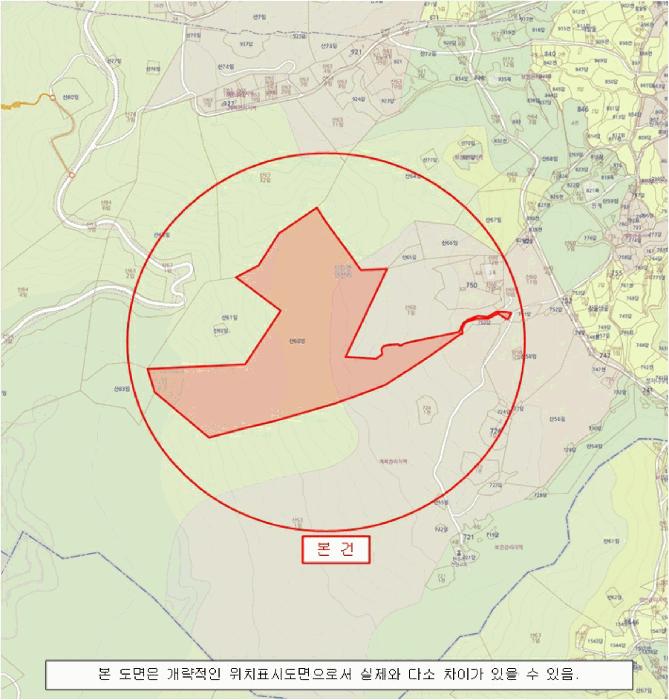 경상남도 산청군 신등면 양전리 산60 임야 경매 사진 8