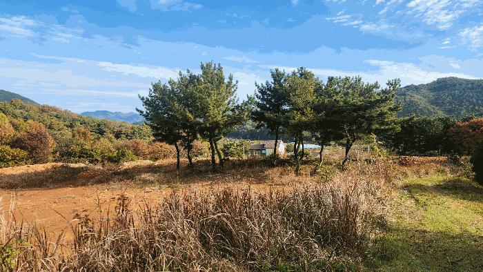 경상남도 산청군 단성면 길리 산108-1 임야 경매 사진 15
