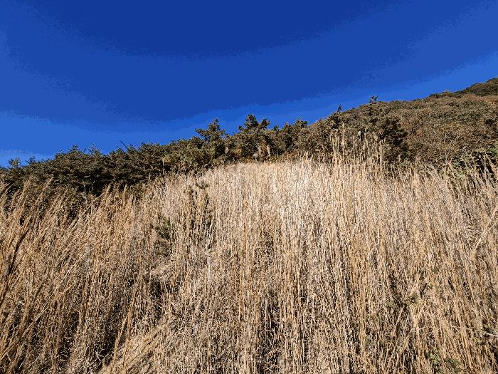 경상남도 산청군 신안면 하정리 산163-1 임야 경매 사진 12