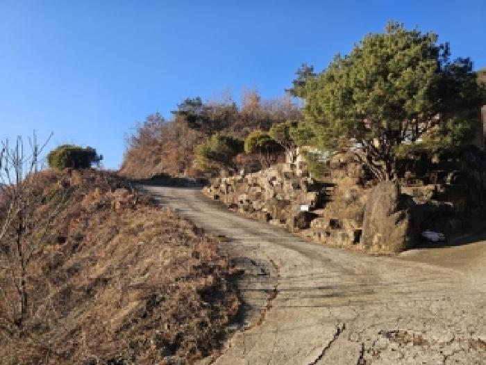 경상남도 산청군 신안면 하정리 산163-1 임야 경매 사진 19