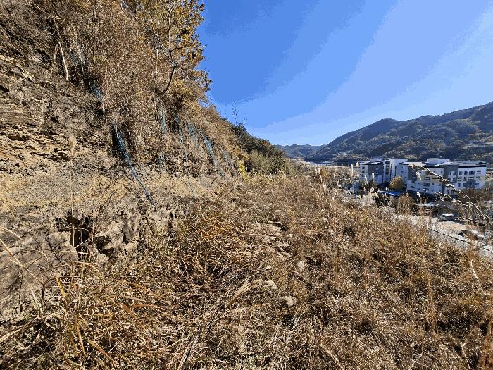 경상남도 산청군 신안면 하정리 산163-1 임야 경매 사진 3