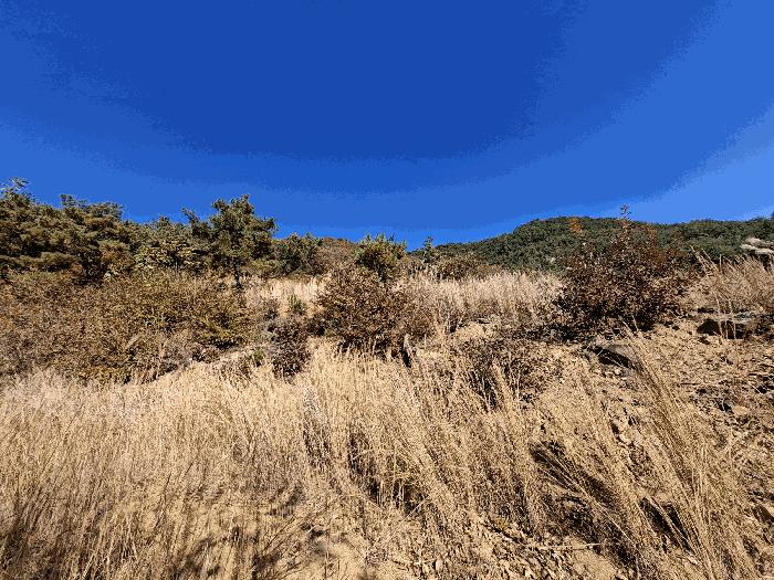 경상남도 산청군 신안면 하정리 산163-1 임야 경매 사진 5