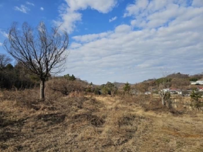 경상남도 진주시 대곡면 유곡리 213 전 경매 사진 15
