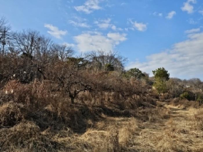 경상남도 진주시 대곡면 유곡리 213 전 경매 사진 16