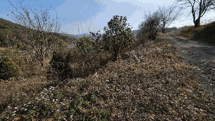 경상남도 진주시 대곡면 유곡리 213 전 경매 사진 4
