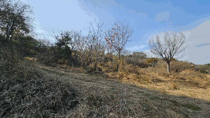 경상남도 진주시 대곡면 유곡리 213 전 경매 사진 6