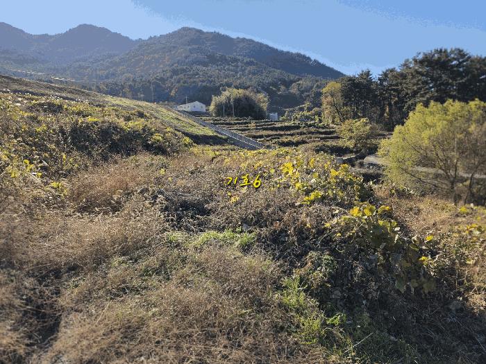 경상남도 남해군 서면 중현리 694 답 경매 사진 12