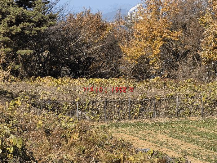 경상남도 남해군 서면 중현리 694 답 경매 사진 7