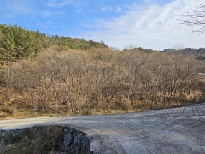 경상남도 진주시 대곡면 설매리 15-1 답 경매 사진 4