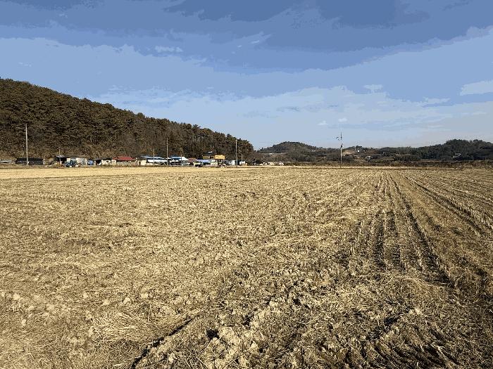 경상남도 사천시 곤양면 묵곡리 1249 답 경매 사진 3