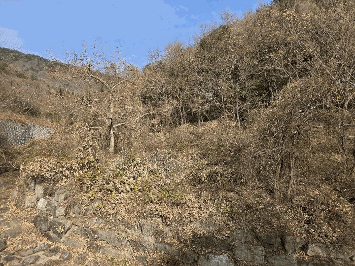 경상남도 사천시 답