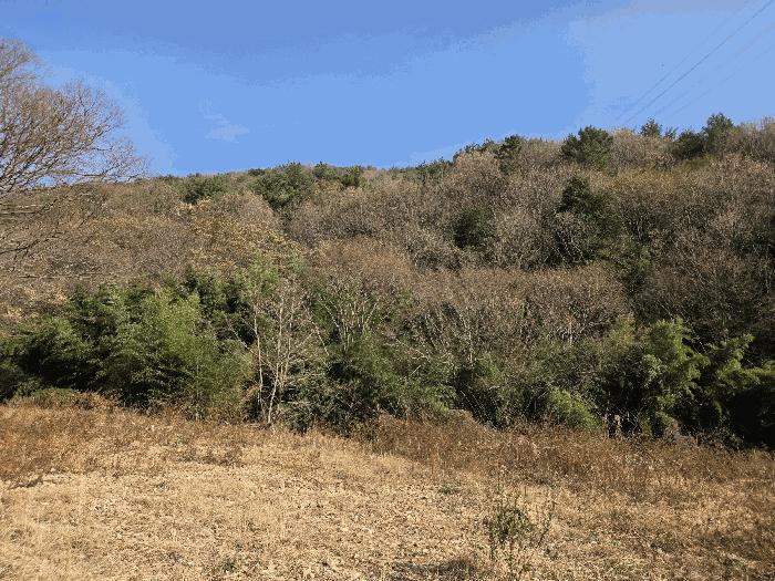경상남도 사천시 이홀동 441 답 경매 사진 2