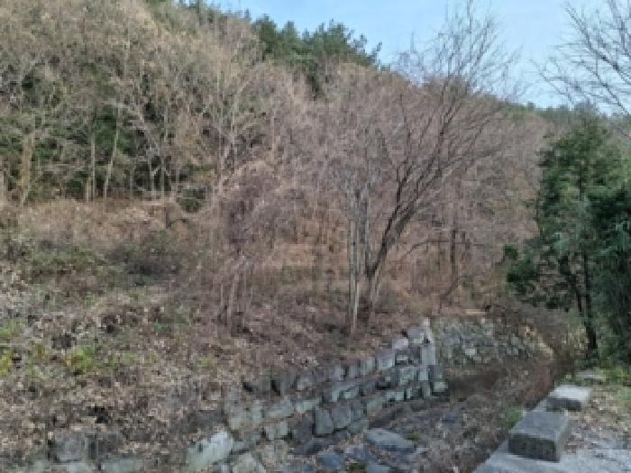 경상남도 사천시 이홀동 441 답 경매 사진 5