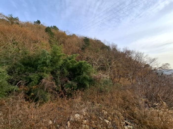 경상남도 사천시 이홀동 441 답 경매 사진 7