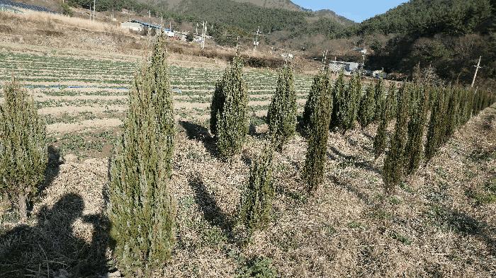 경상남도 남해군 서면 서상리 1435-4 답 경매 사진 3