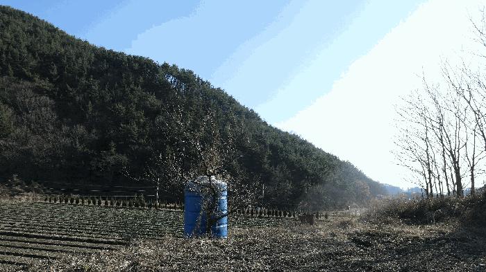 경상남도 남해군 서면 서상리 1435-4 답 경매 사진 4