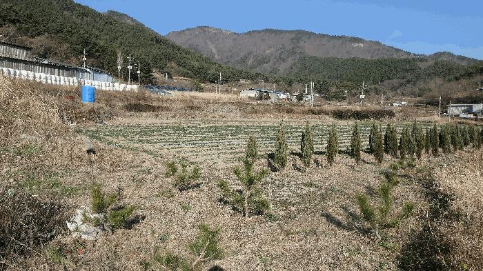 경상남도 남해군 서면 서상리 1435-4 답 경매 사진 5