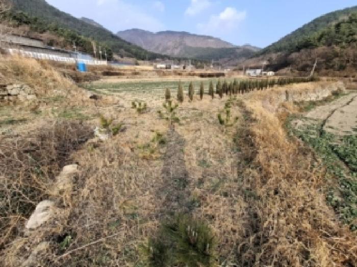 경상남도 남해군 서면 서상리 1435-4 답 경매 사진 7