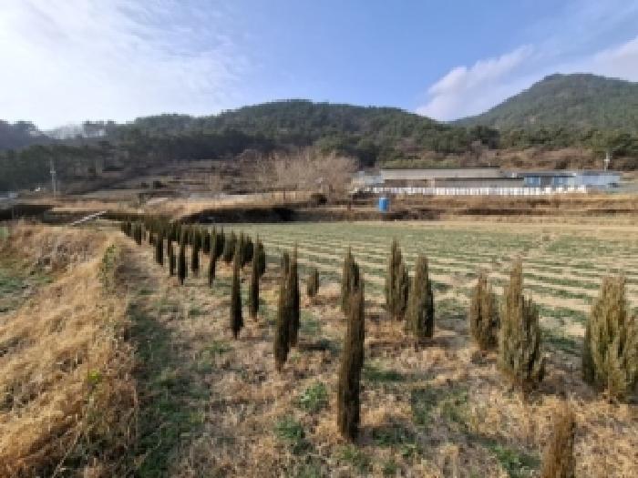 경상남도 남해군 서면 서상리 1435-4 답 경매 사진 8