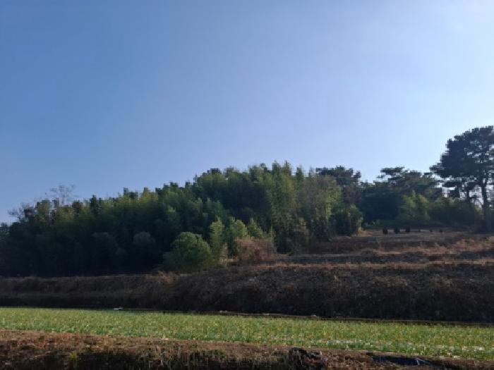 경상남도 남해군 이동면 초음리 1378-3 전 경매 사진 3