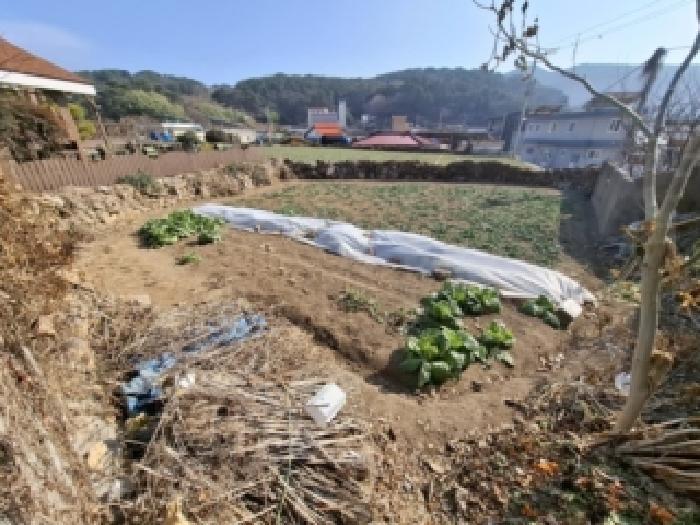 경상남도 남해군 미조면 송정리 1276-1 대지 경매 사진 13