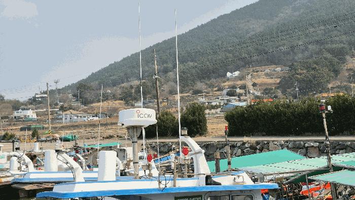 남해군 창선면 대벽항 선박 경매 사진 14