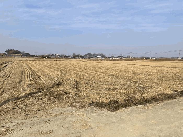 전북특별자치도 김제시 봉남면 평사리 1267-6 답 경매 사진 5