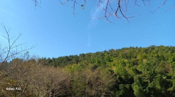 경상남도 거제시 장목면 율천리 산112 임야 경매 사진 3
