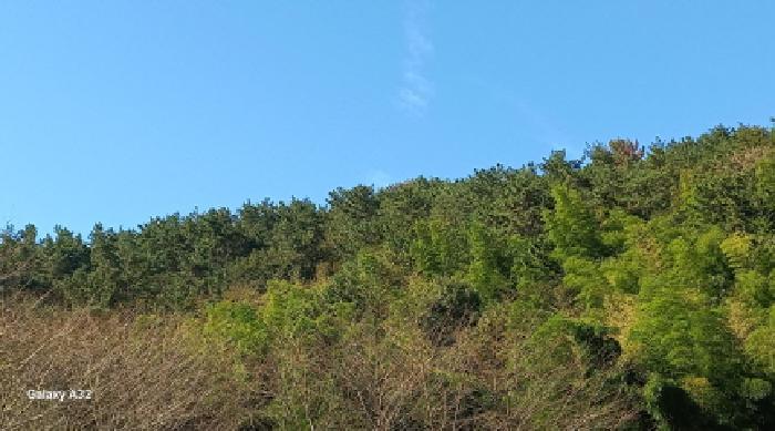 경상남도 거제시 장목면 율천리 산112 임야 경매 사진 4