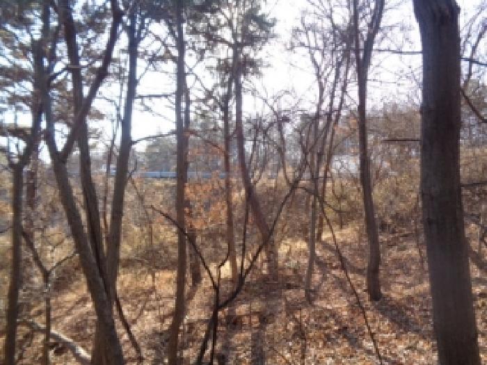 전북특별자치도 완주군 이서면 상개리 산54 임야 경매 사진 10
