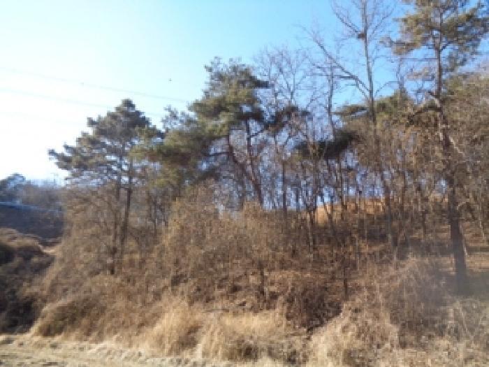 전북특별자치도 완주군 이서면 상개리 산54 임야 경매 사진 14