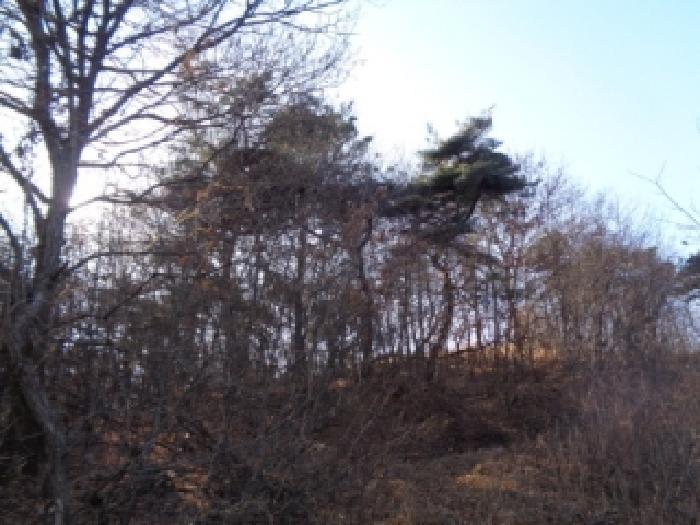 전북특별자치도 완주군 이서면 상개리 산54 임야 경매 사진 15