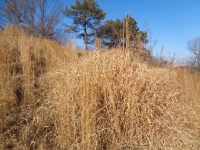 전북특별자치도 완주군 이서면 상개리 산54 임야 경매 사진 20