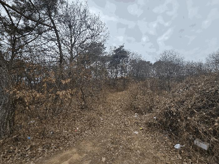 전북특별자치도 완주군 이서면 상개리 산54 임야 경매 사진 4