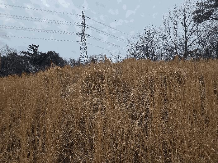 전북특별자치도 완주군 이서면 상개리 산54 임야 경매 사진 6