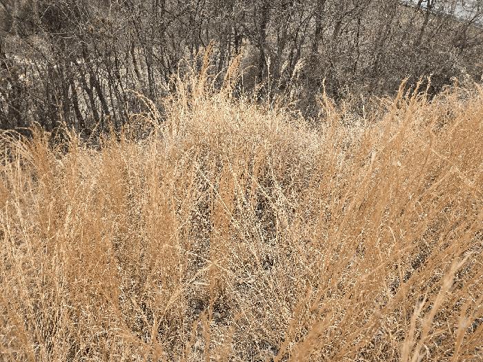전북특별자치도 완주군 이서면 상개리 산54 임야 경매 사진 7