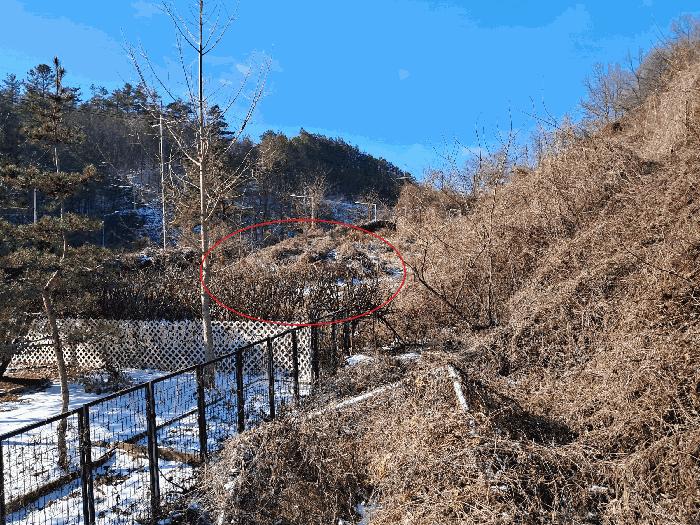 전북특별자치도 진안군 진안읍 군하리 371-10 답 경매 사진 5