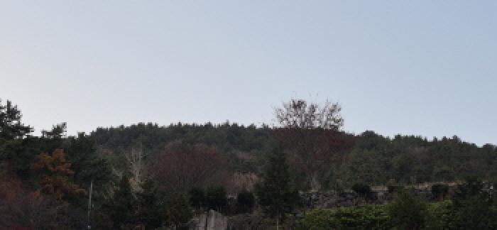 경상남도 고성군 대가면 송계리 산88-1 임야 경매 사진 10