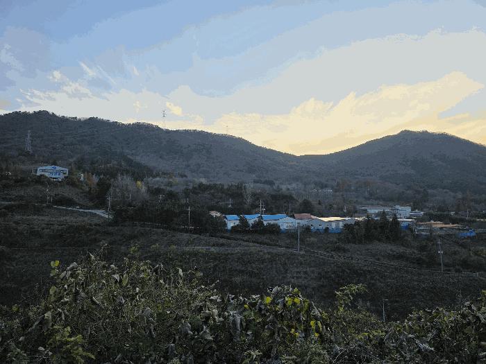 경상남도 고성군 대가면 송계리 산88-1 임야 경매 사진 3