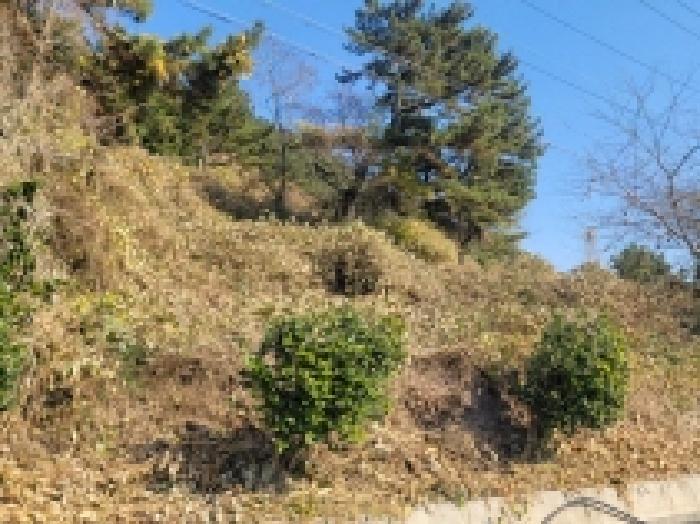 경상남도 통영시 사량면 금평리 504 전 경매 사진 5