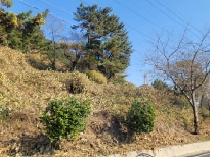 경상남도 통영시 사량면 금평리 504 전 경매 사진 6