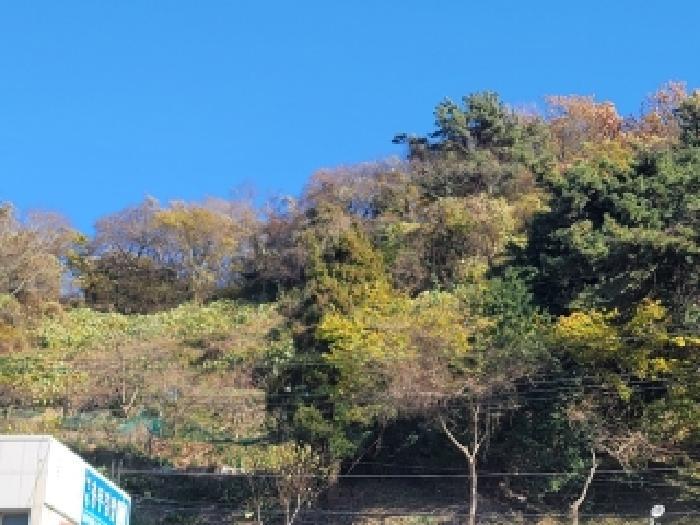 경상남도 통영시 산양읍 삼덕리 391-1 전 경매 사진 5