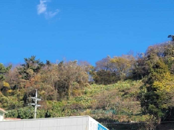경상남도 통영시 산양읍 삼덕리 391-1 전 경매 사진 6