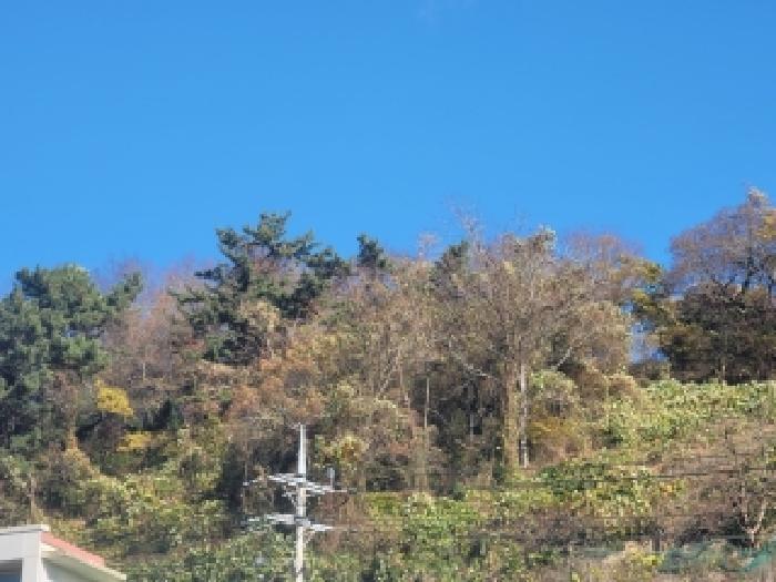 경상남도 통영시 산양읍 삼덕리 391-1 전 경매 사진 7