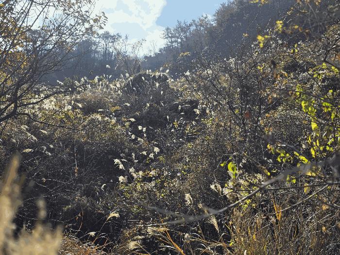 경상남도 통영시 답
