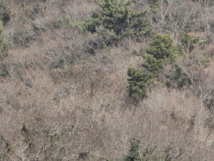 경상남도 통영시 한산면 용호리 960 답 경매 사진 6