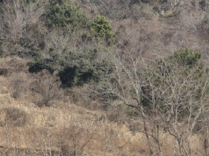 경상남도 통영시 한산면 용호리 960 답 경매 사진 7